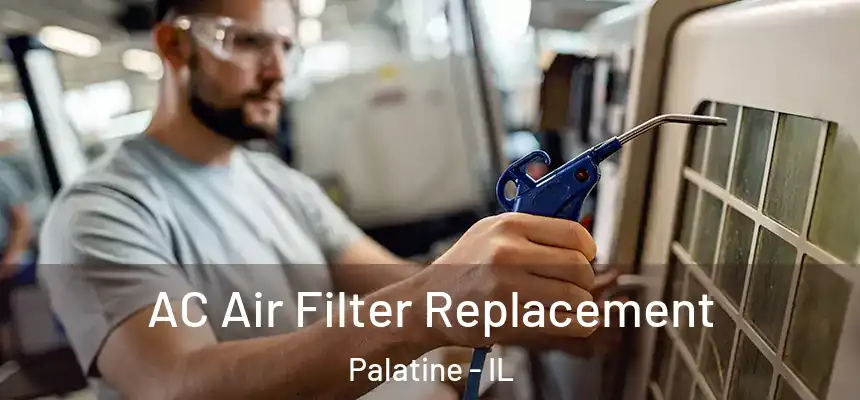 AC Air Filter Replacement Palatine - IL