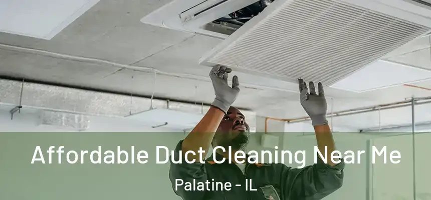  Affordable Duct Cleaning Near Me Palatine - IL