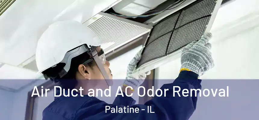 Air Duct and AC Odor Removal Palatine - IL
