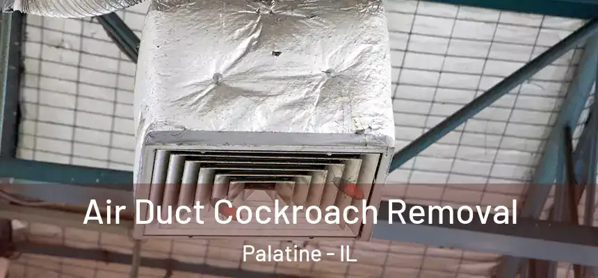  Air Duct Cockroach Removal Palatine - IL