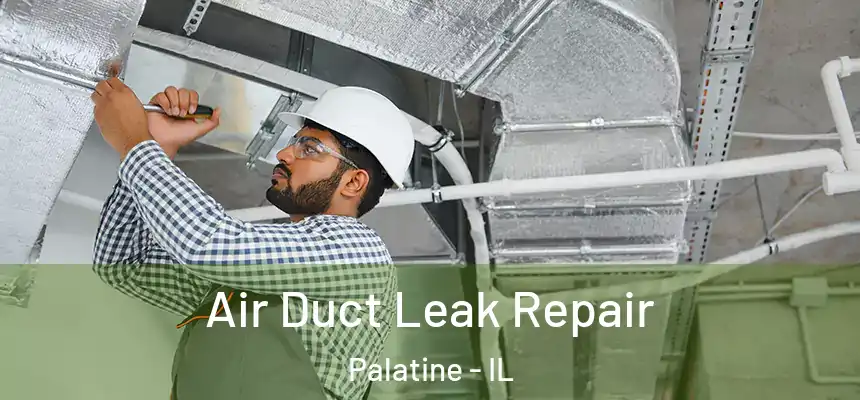 Air Duct Leak Repair Palatine - IL