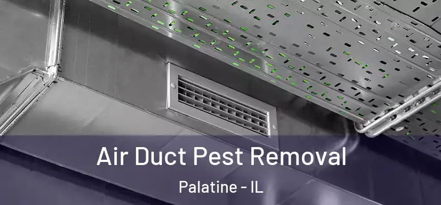  Air Duct Pest Removal Palatine - IL