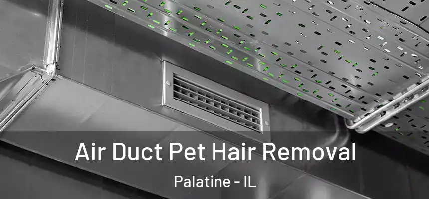 Air Duct Pet Hair Removal Palatine - IL
