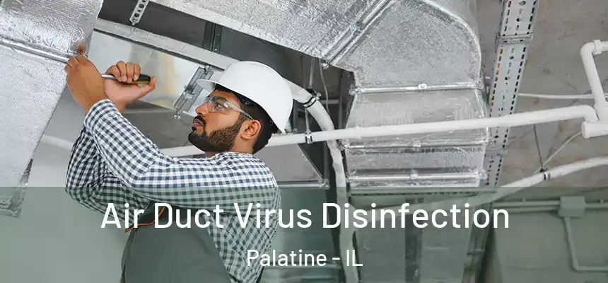  Air Duct Virus Disinfection Palatine - IL