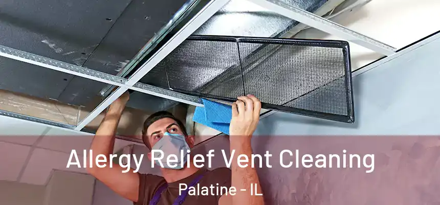  Allergy Relief Vent Cleaning Palatine - IL