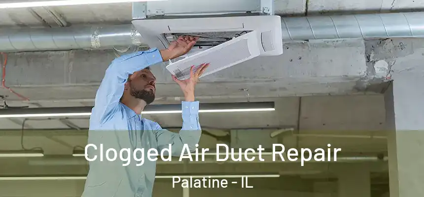  Clogged Air Duct Repair Palatine - IL