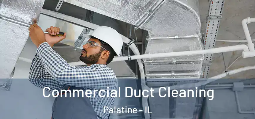 Commercial Duct Cleaning Palatine - IL