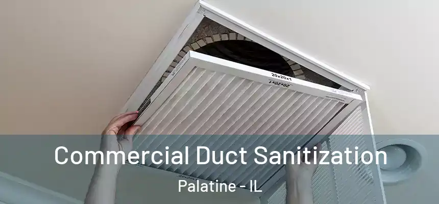 Commercial Duct Sanitization Palatine - IL