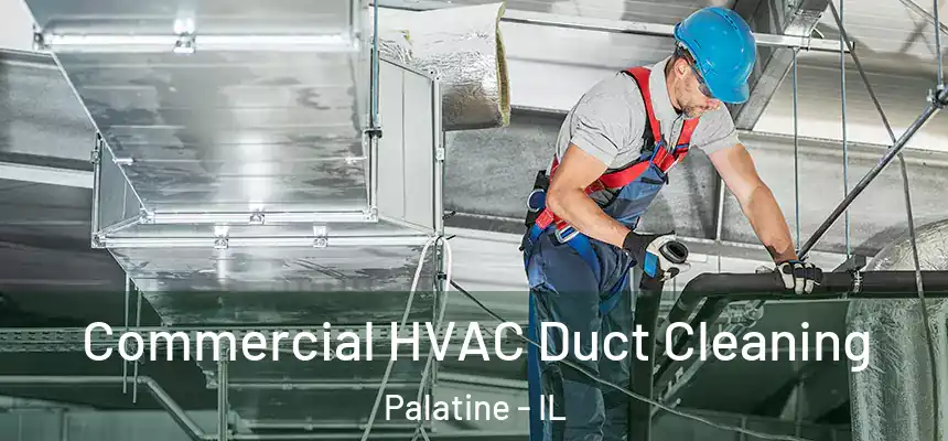 Commercial HVAC Duct Cleaning Palatine - IL