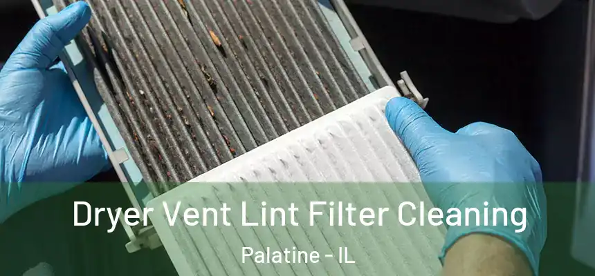  Dryer Vent Lint Filter Cleaning Palatine - IL