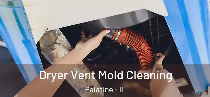 Dryer Vent Mold Cleaning Palatine - IL