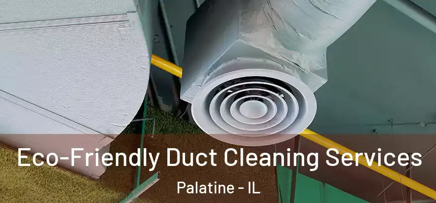  Eco-Friendly Duct Cleaning Services Palatine - IL