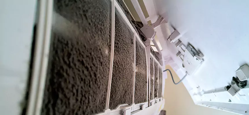 Preventive Air Duct Bacteria Removal in Palatine