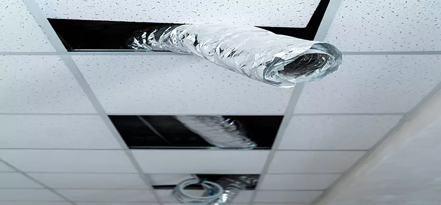 Affordable HVAC Sanitizing After Pest Removal in Palatine