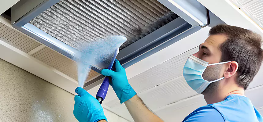 Proactive Dryer Vent & Auxiliary Duct Pollen Cleanup in Palatine, IL