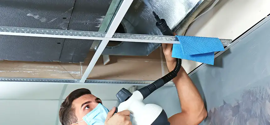 Our Air Duct Rodent Removal Services in Palatine, IL