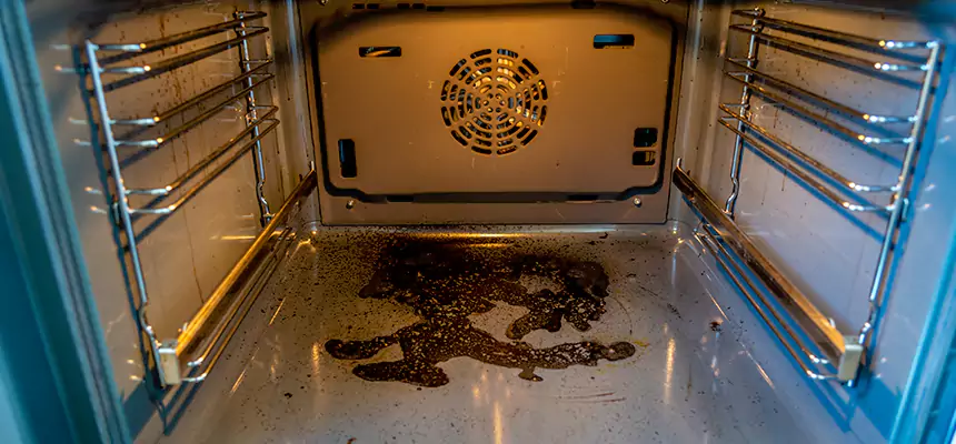 Our Dryer Vent Mold Cleaning Services in Palatine, IL