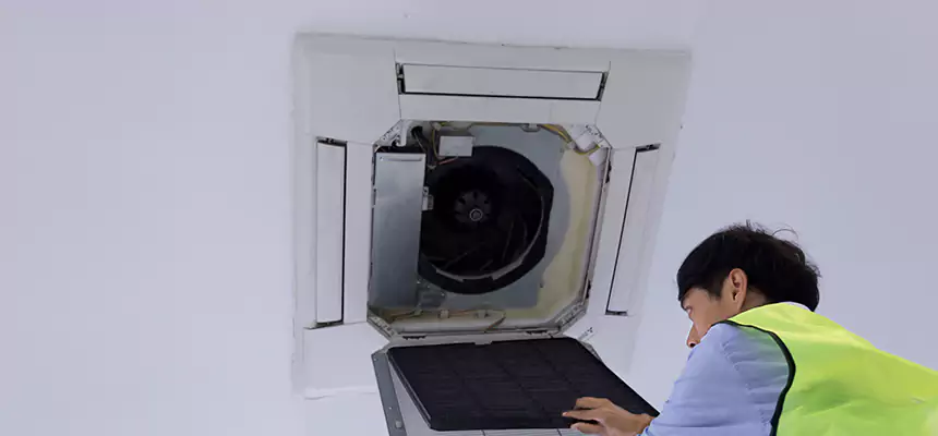 Our Dryer Vent Sanitization Service Services in Palatine, IL