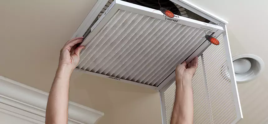 Our Insect Removal from Air Ducts Services in Palatine, IL