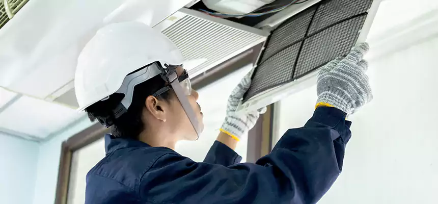 Our Mold & Mildew Removal from Air Ducts Services in Palatine, IL