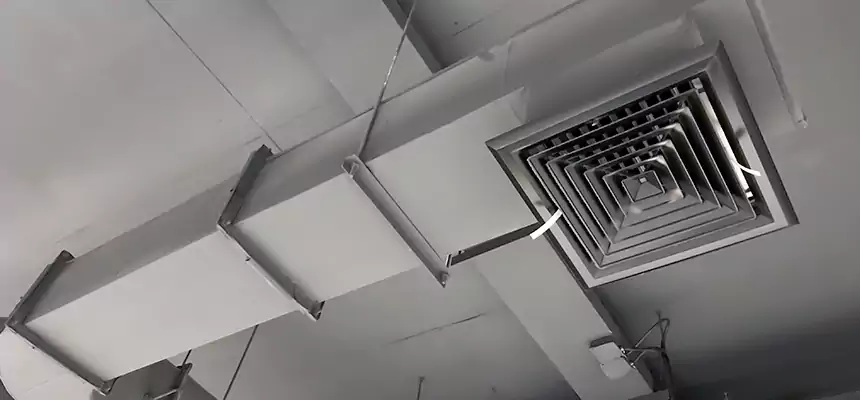 Our Pest Removal From Ducts Services in Palatine, IL