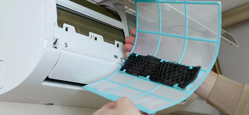 Gentle Ductwork Odor-Control Pet Dander Duct Cleaning in Palatine, IL