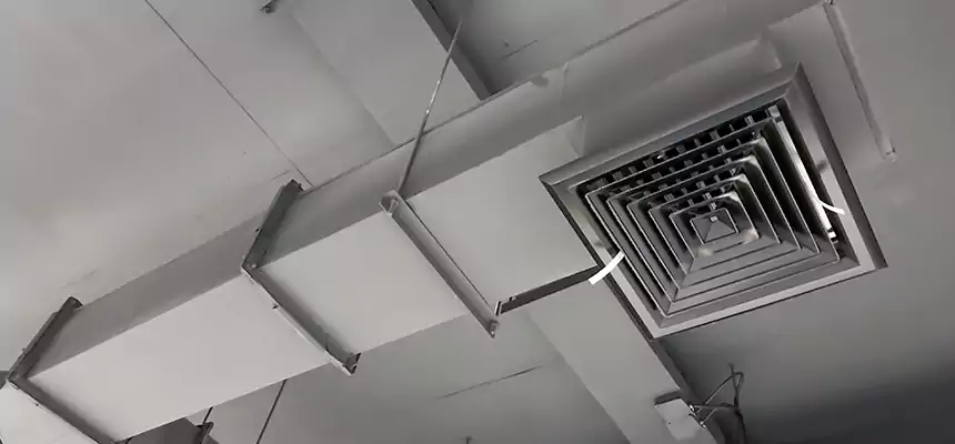 Our Rodent Droppings In Vents Services in Palatine, IL