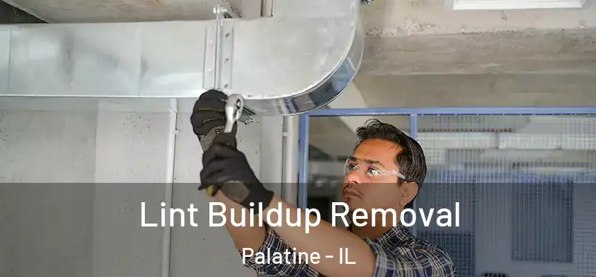  Lint Buildup Removal Palatine - IL