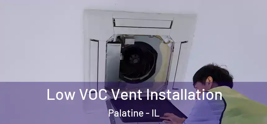  Low VOC Vent Installation Palatine - IL