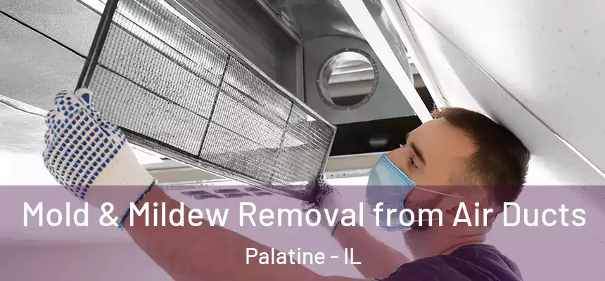  Mold & Mildew Removal from Air Ducts Palatine - IL