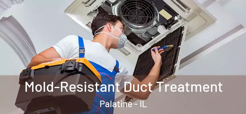 Mold-Resistant Duct Treatment Palatine - IL