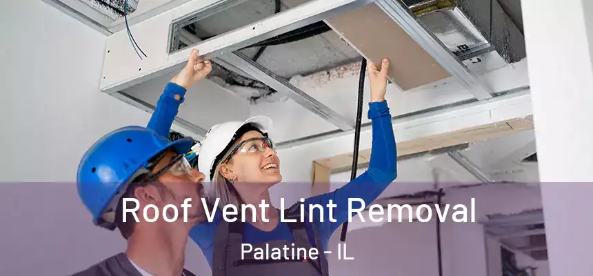  Roof Vent Lint Removal Palatine - IL