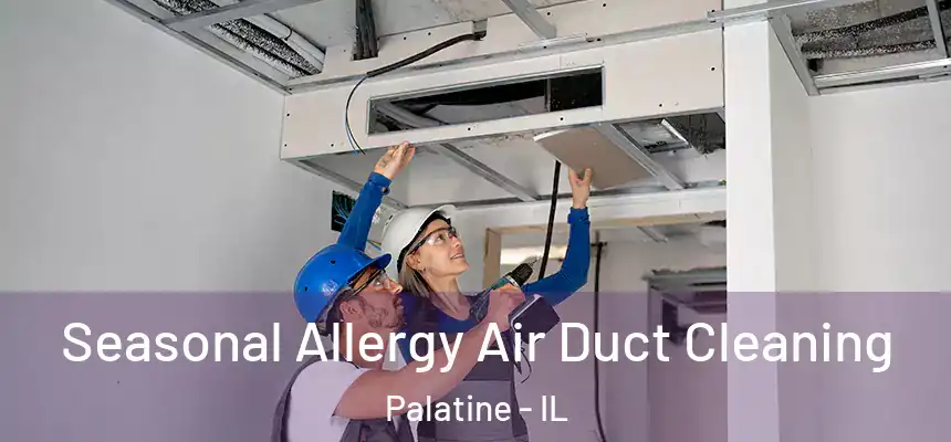Seasonal Allergy Air Duct Cleaning Palatine - IL