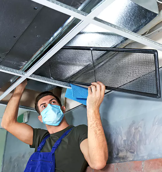 About Air Duct Bacteria Removal in Palatine
