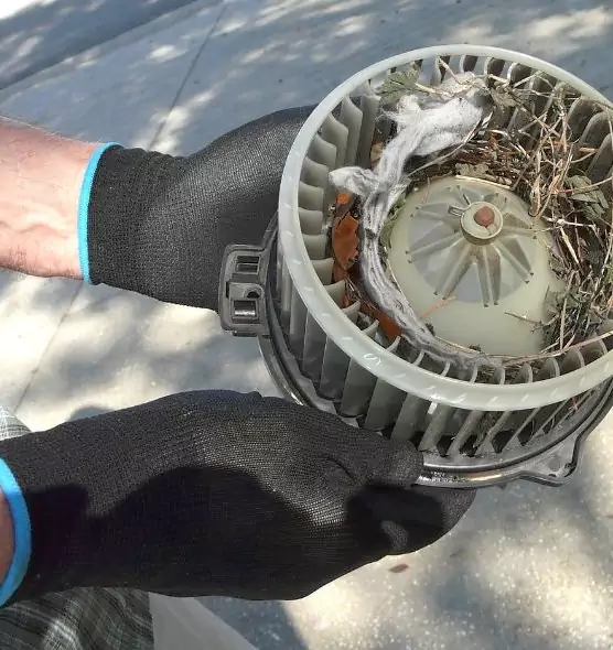 About Air Duct Rat Removal in Palatine, IL