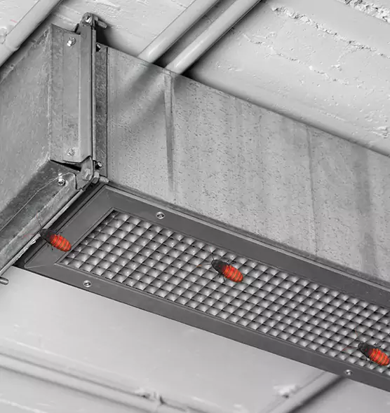 Affordable Insect Removal from Air Ducts in Palatine, IL