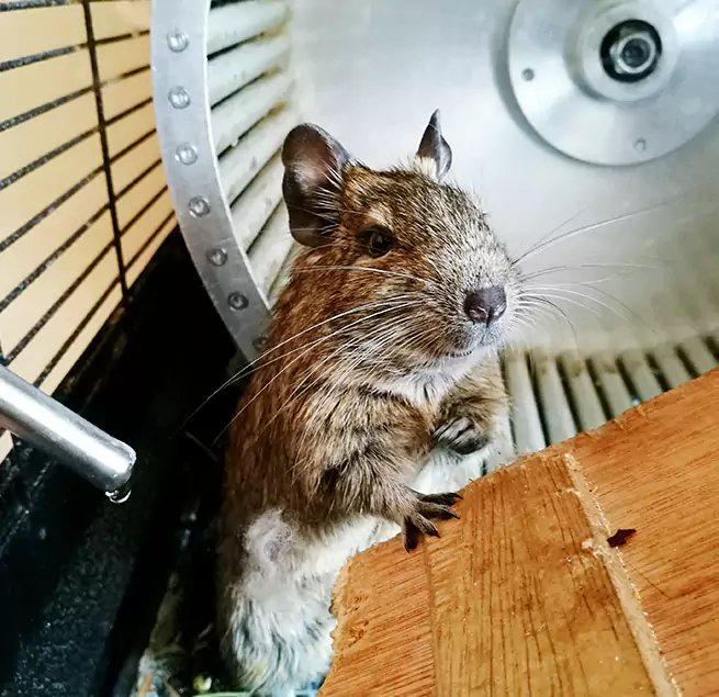 Why Homeowners & Businesses Trust Us Palatine, IL