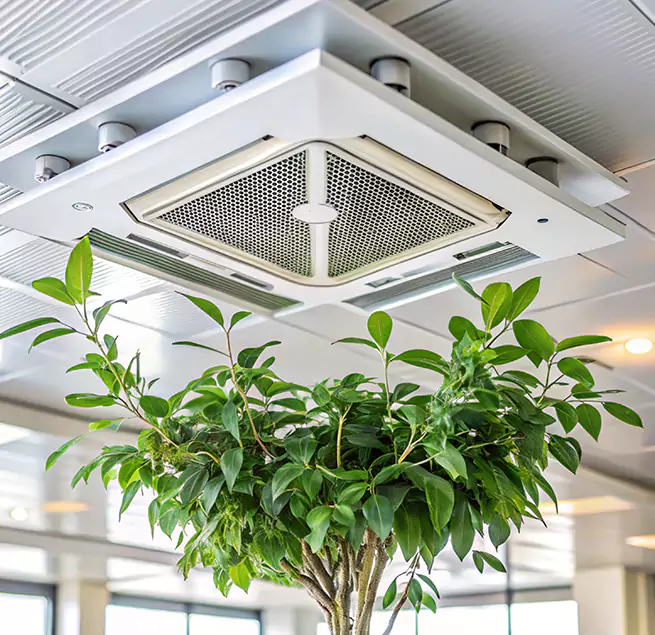 Why Homeowners & Businesses Trust Us in Palatine, IL?