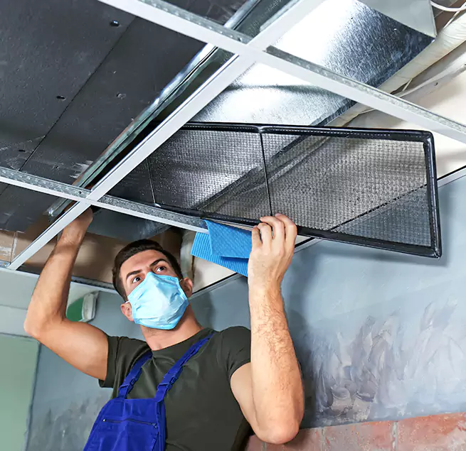  Why Homeowners Businesses Trust Us  in Palatine, IL?