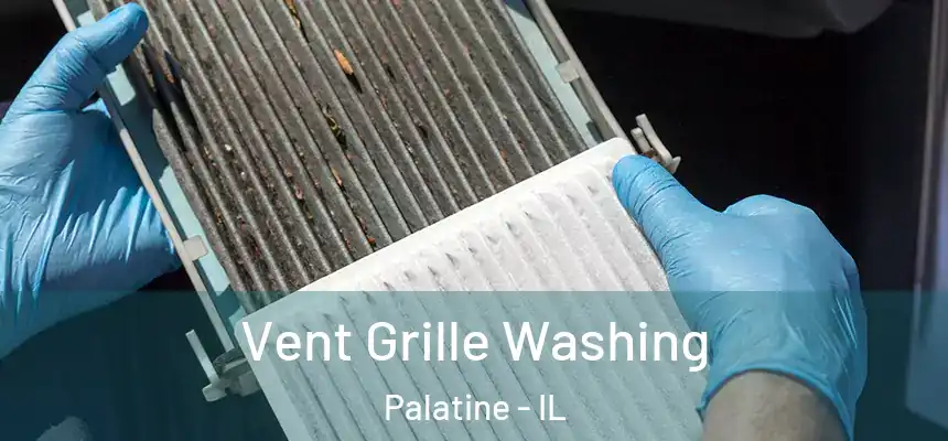  Vent Grille Washing Palatine - IL
